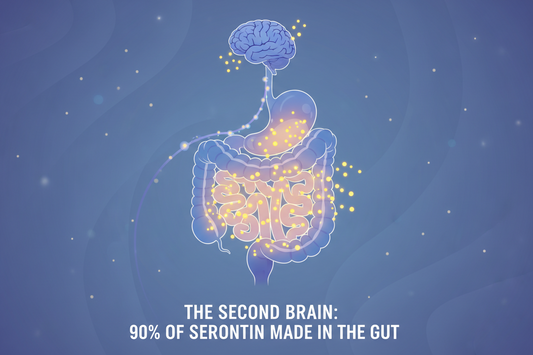 90% of Serotonin Is Made in the Gut — Not the Brain